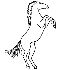 Image showing Black horse 