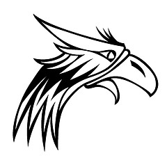 Image showing eagle isolated on white background for mascot or emblem design.