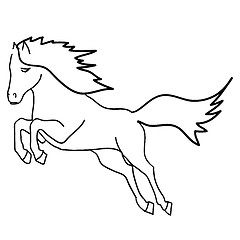 Image showing Black horse 