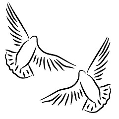 Image showing  Set of white vector doves.