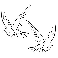 Image showing Set of white vector doves.