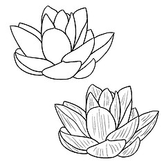 Image showing Oriental lotus - a flower Vector illustration.