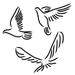 Image showing Set of white vector doves.