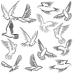 Image showing Set of white vector doves.