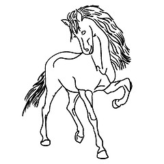 Image showing Black horse 