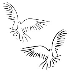 Image showing Set of white vector doves.