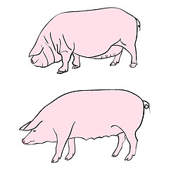 Image showing Pen drawing depicting a pig