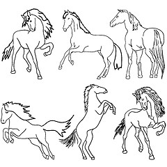 Image showing Vector set. Black horse silhouette isolated on white for design.