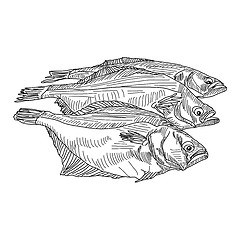 Image showing vector drawing hand fish