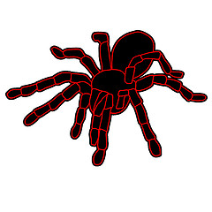 Image showing Tattoo of black widow isolated on white background.