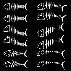 Image showing A set of fish skeletons. 