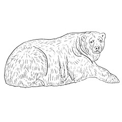 Image showing White Polar Bear. Vector illustration.