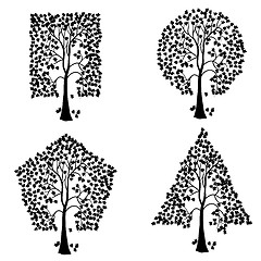 Image showing Trees of different geometric shapes. 