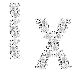 Image showing Hand drawing ornamental alphabet. Letter IX
