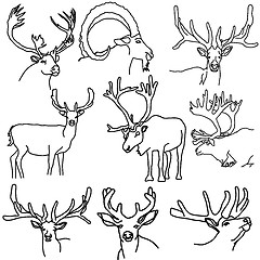 Image showing A set of deer, elk, and goats