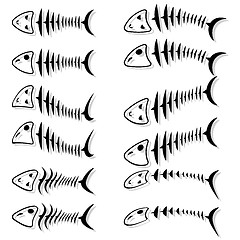 Image showing A set of fish skeletons. 