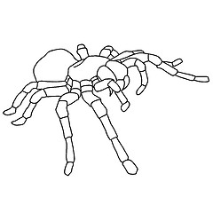 Image showing Tattoo spider tarantula on Blom background