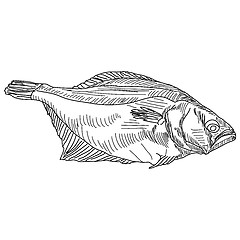 Image showing vector drawing hand fish