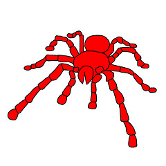 Image showing Tattoo of black widow isolated on white background.