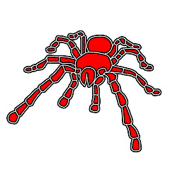 Image showing Tattoo of black widow isolated on white background.