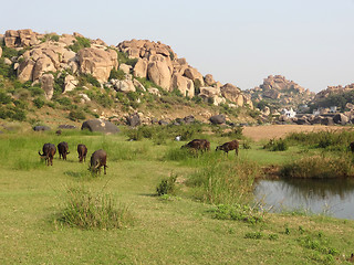 Image showing scenery around Hampi