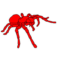 Image showing Tattoo spider tarantula on Blom background