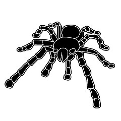 Image showing Tattoo of black widow isolated on white background.