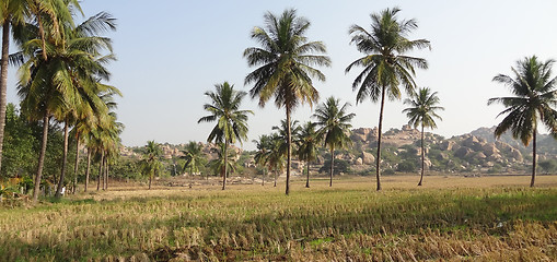 Image showing scenery around Hampi