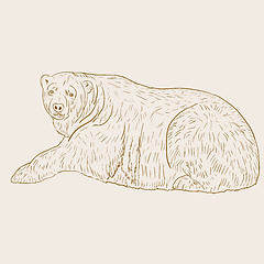 Image showing White Polar Bear. Vector illustration.
