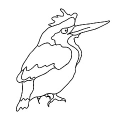Image showing A small forest bird 