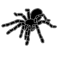 Image showing Tattoo of black widow isolated on white background.