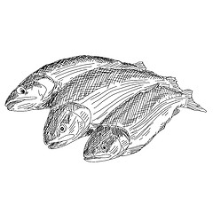 Image showing vector drawing hand fish