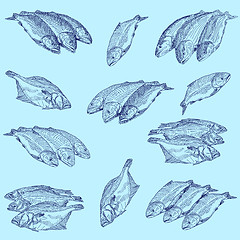 Image showing Set fresh sea fishes 