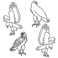 Image showing Eagles symbols and tattoo