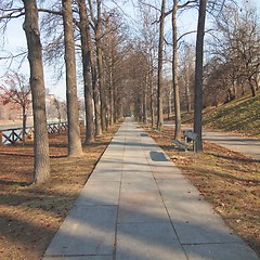 Image showing Path among trees