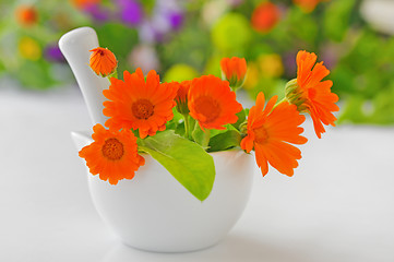 Image showing Calendula flowers and  mortar 