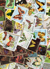 Image showing A Collectin of Butterfly Stamps