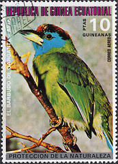 Image showing Stamp Showing a Blue Throated Barbet