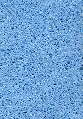 Image showing Blue Cellulose Sponge