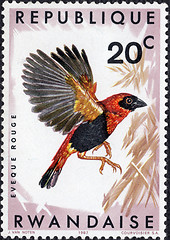 Image showing Southern Red Bishop Stamp