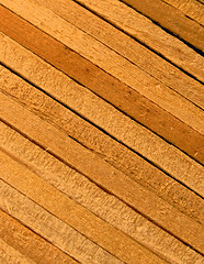 Image showing Wood Macro