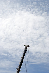 Image showing Mobile Crane Jib2