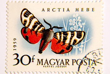 Image showing Tiger Moth Stamp