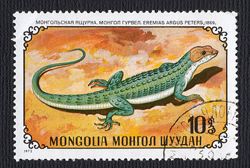 Image showing Eremius Argus Lizard on a Mongolian Postage Stamp