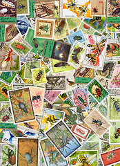 Image showing Insect Postage Stamps