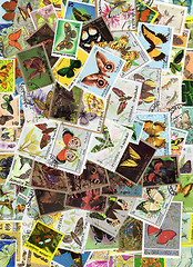 Image showing Butterfly Stamps