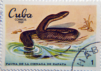 Image showing Cuban Snake Postage Stamp