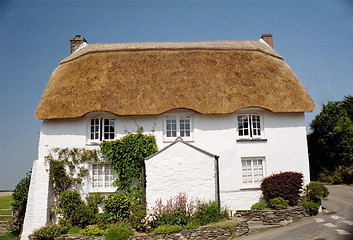 Image showing Thatched Cottage