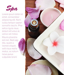 Image showing Spa treatment