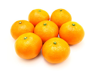 Image showing Group a tangerine 